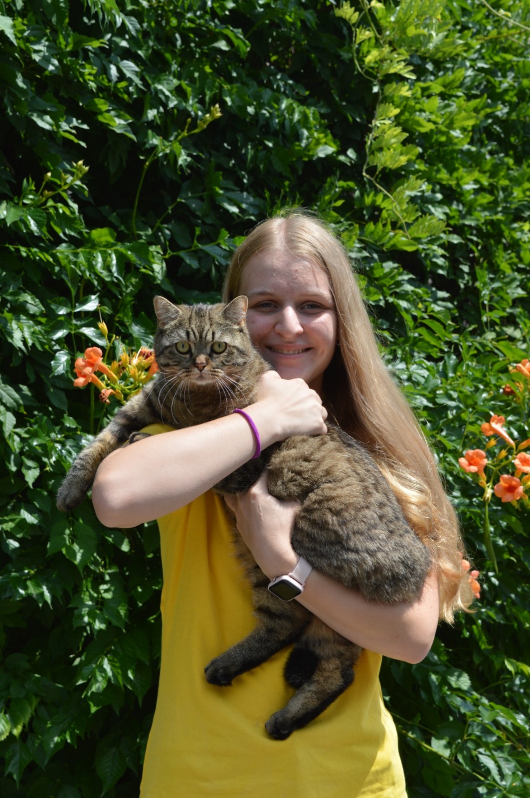 Assistentin mit einer getigerten Katze