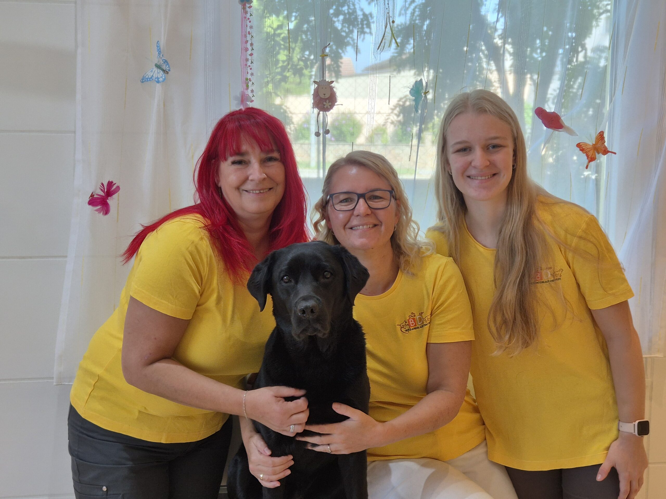 das ganze Team mit allen 3 Hunden